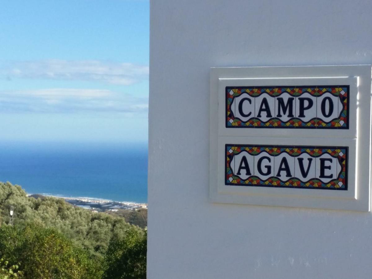 Campo Agave B&B Sayalonga 외부 사진